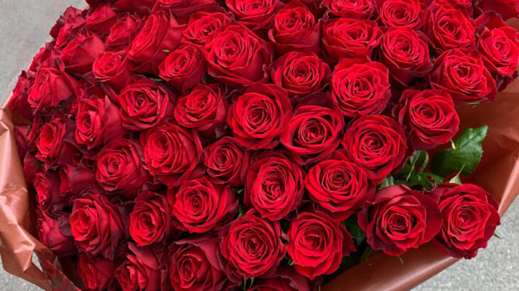 プロポーズの赤薔薇108本の花束